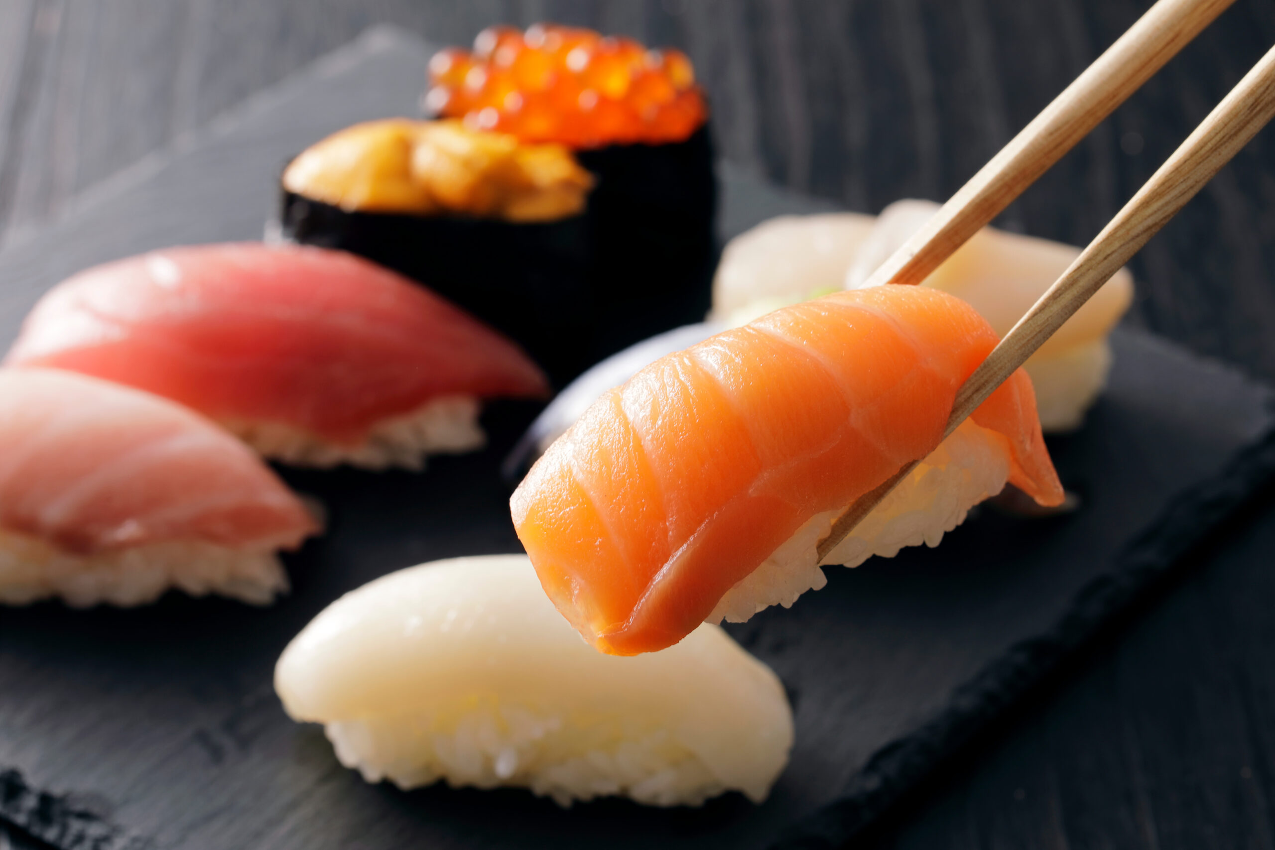 寿司　Sushi. Japanese food